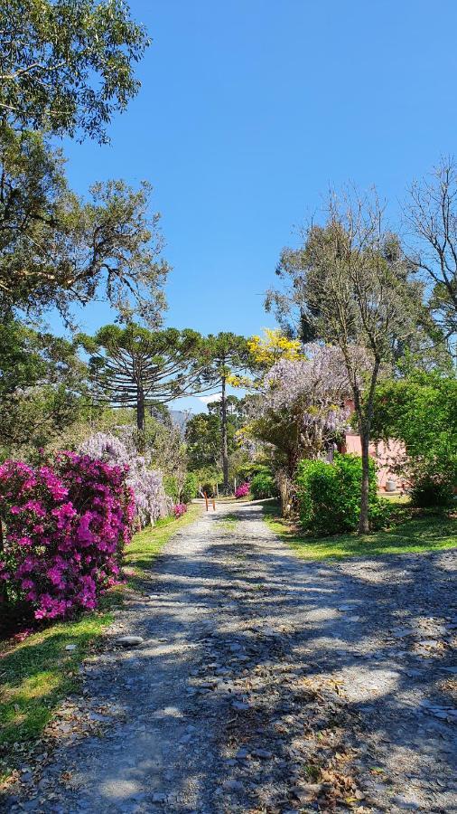 Pousada Bracatinga Bom Retiro  Exterior photo